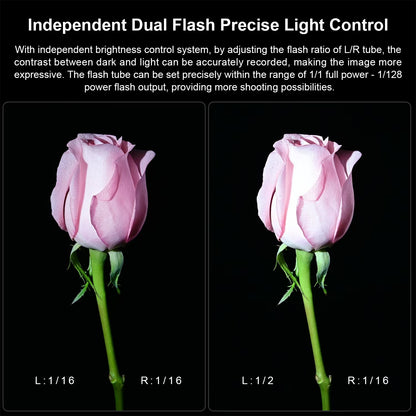 K202 Three-Head Macro Fill Light | Dual Flashes + LED | 12-Color Diffuser