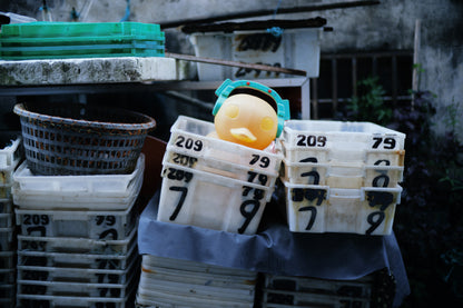 Lee Works | 50mm f1.1 for Leica M