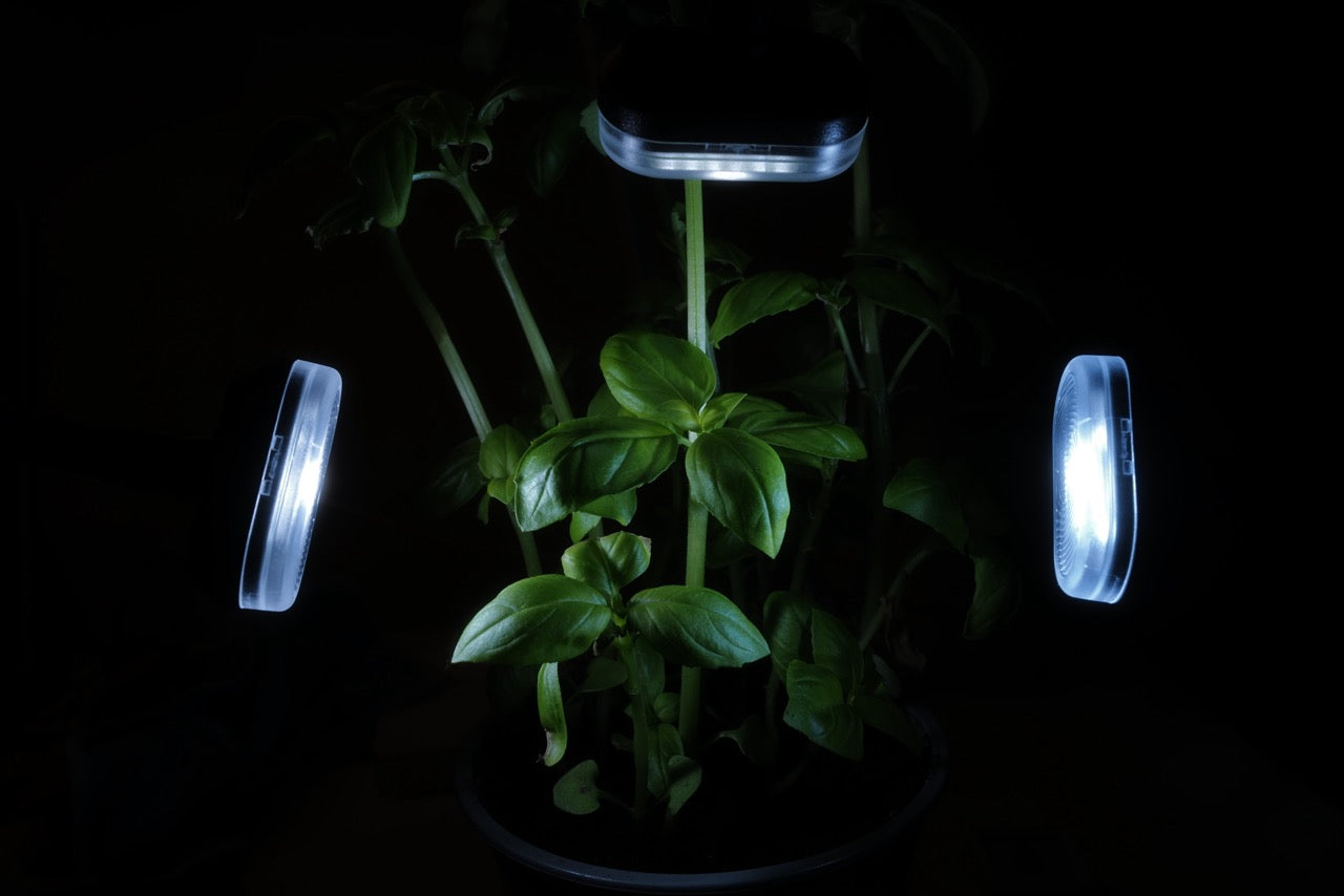 K202 Three-Head Macro Fill Light | Dual Flashes + LED | 12-Color Diffuser