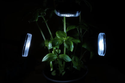 K202 Three-Head Macro Fill Light | Dual Flashes + LED | 12-Color Diffuser