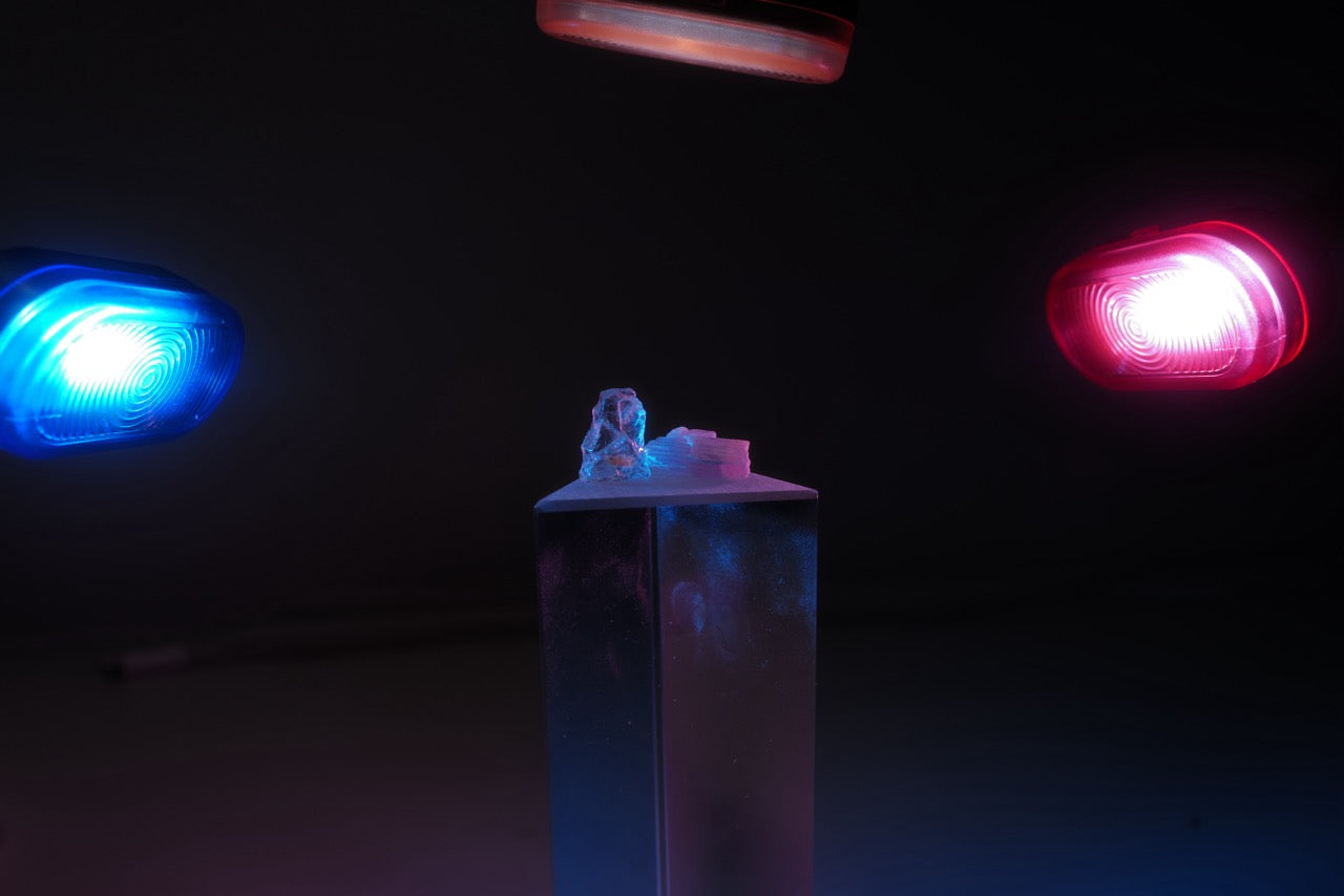 K202 Three-Head Macro Fill Light | Dual Flashes + LED | 12-Color Diffuser