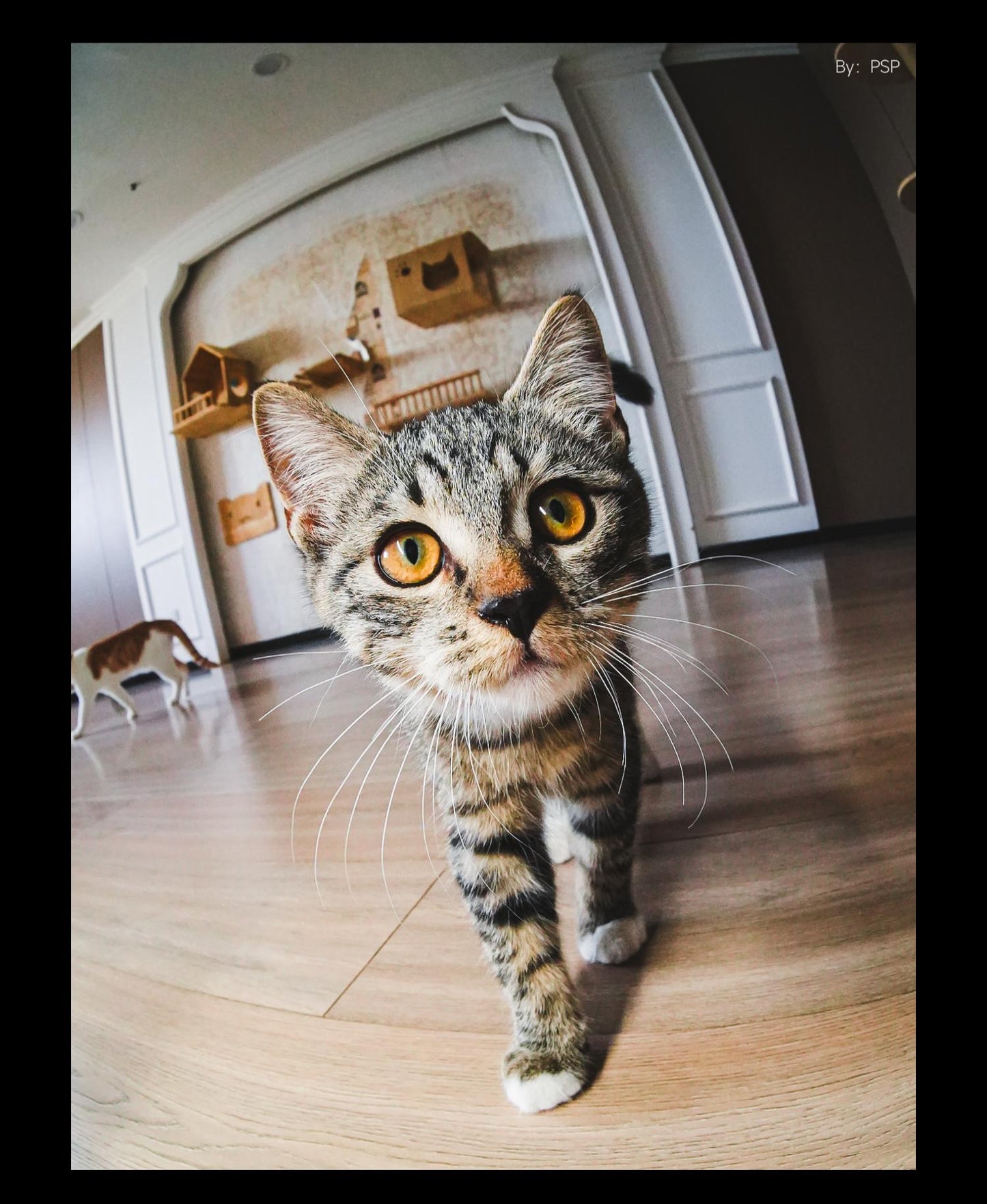 Brightin Star | 10mm F5.6 | Ultra-Wide Pancake Fisheye