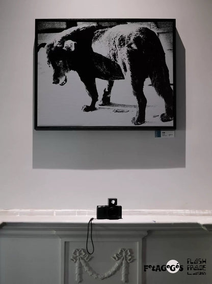 Fotagogo Metal Waist-Level Viewfinder 28MM/35MM/40MM Universal Camera